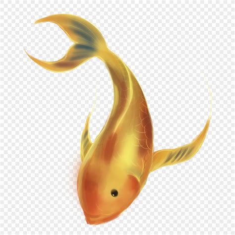 金色的魚